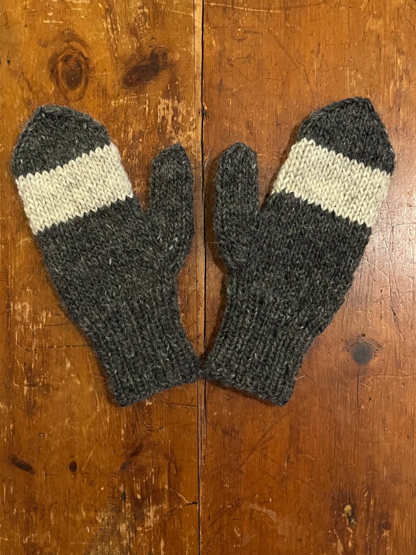 Barnstable Buoy Mittens